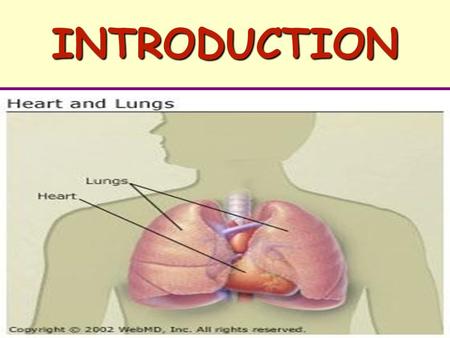 INTRODUCTION. The Oxygen Transport System I. Pulmonary Ventilation Movement of Air in & out of the Lungs 3.