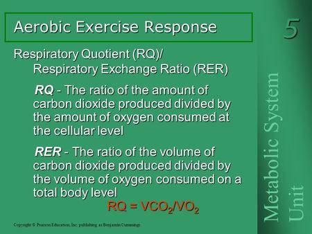 Aerobic Exercise Response