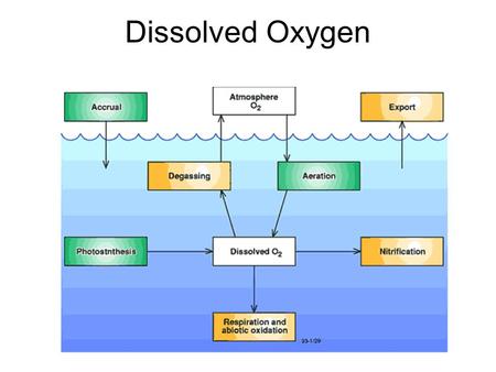 Dissolved Oxygen.