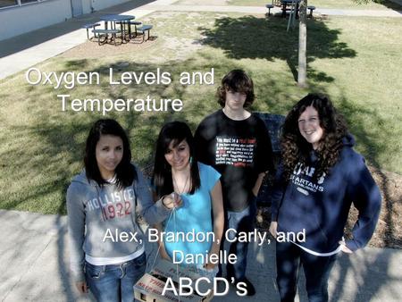 Oxygen Levels and Temperature Alex, Brandon, Carly, and Danielle ABCD’s.