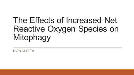 The Effects of Increased Net Reactive Oxygen Species on Mitophagy DONALD TA.