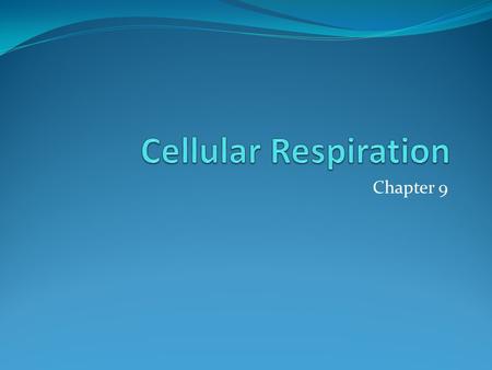 Cellular Respiration Chapter 9.