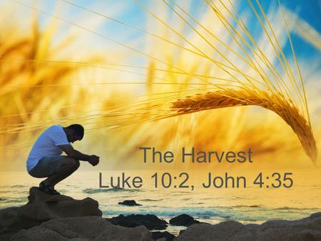 The Harvest Luke 10:2, John 4:35. The harvest truly is great But the laborers are few The laborers are few The harvest truly is great But the laborers.