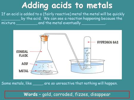 Adding acids to metals Words – gold, corroded, fizzes, disappear If an acid is added to a (fairly reactive) metal the metal will be quickly ________ by.
