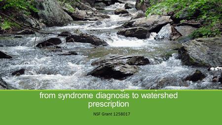 Streams in urbanizing landscapes: from syndrome diagnosis to watershed prescription NSF Grant 1258017.