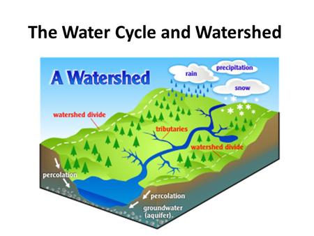 The Water Cycle and Watershed. DO NOW 1. Where do rivers and lakes get their water supplies from? 2. Where is the final destination of the water form.