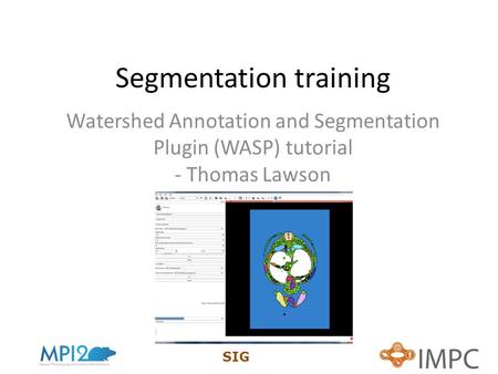 Segmentation training