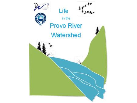 The Provo River Watershed What’s Downstream?