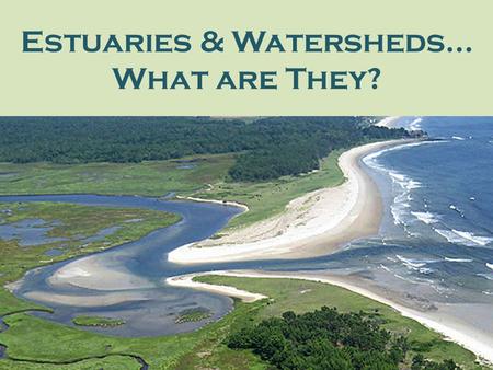 Estuaries & Watersheds…