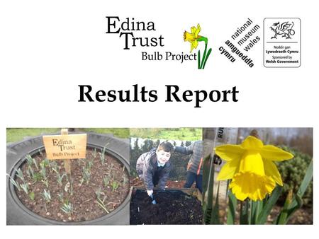 Results Report. Super Scientists! The Edina Trust would like to thank everyone that worked so hard planting their bulbs, observing and sending in their.