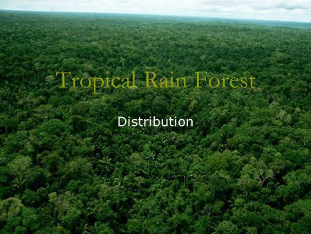 Tropical Rain Forest Distribution. Where are tropical rain forest? The Equator Tropic of Cancer Tropic of Capricorn Tropical Rain Forest World distribution.