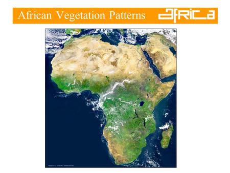 African Vegetation Patterns. Vegetation Zones –The majority of Africa lies within the tropics –Wet near the equator –Drier moving north and south.