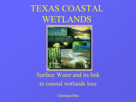 TEXAS COASTAL WETLANDS Surface Water and its link to coastal wetlands loss Christine Otto.