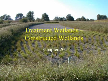 Treatment Wetlands – Constructed Wetlands Chapter 20.