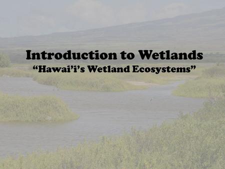 Introduction to Wetlands “Hawai’i’s Wetland Ecosystems”