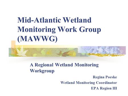 Mid-Atlantic Wetland Monitoring Work Group (MAWWG) A Regional Wetland Monitoring Workgroup Regina Poeske Wetland Monitoring Coordinator EPA Region III.