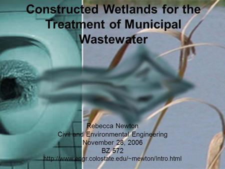Constructed Wetlands for the Treatment of Municipal Wastewater Rebecca Newton Civil and Environmental Engineering November 28, 2006 BZ 572