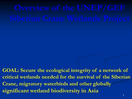 1 Overview of the UNEP/GEF Siberian Crane Wetlands Project GOAL: Secure the ecological integrity of a network of critical wetlands needed for the survival.