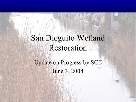 San Dieguito Wetland Restoration Update on Progress by SCE June 3, 2004.