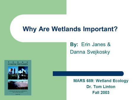 Why Are Wetlands Important? By: Erin Janes & Danna Svejkosky MARS 689: Wetland Ecology Dr. Tom Linton Fall 2003.