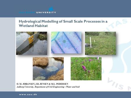 Hydrological Modelling of Small Scale Processes in a Wetland Habitat O. M. JOHANSEN, J.B. JENSEN & M.L. PEDERSEN Aalborg University, Department of Civil.