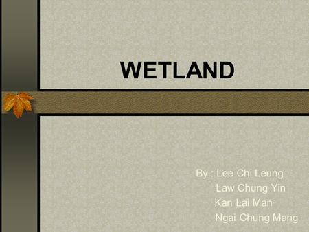 WETLAND By : Lee Chi Leung Law Chung Yin Kan Lai Man Ngai Chung Mang.