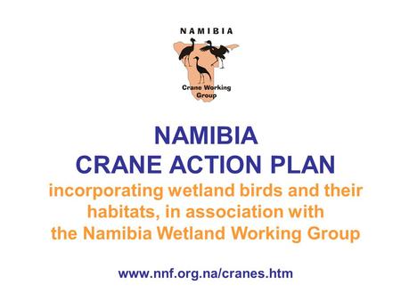 NAMIBIA CRANE ACTION PLAN incorporating wetland birds and their habitats, in association with the Namibia Wetland Working Group www.nnf.org.na/cranes.htm.