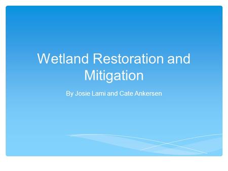 Wetland Restoration and Mitigation By Josie Lami and Cate Ankersen.