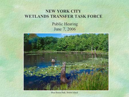 NEW YORK CITY WETLANDS TRANSFER TASK FORCE Blue Heron Park, Staten Island Public Hearing June 7, 2006.