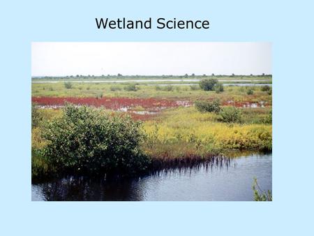 Wetland Science. Wetland scientists examine: - biology - characteristic plants and animals, microorganisms of different wetland types - vulnerability.