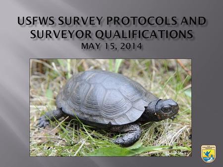 Suzanne Macey.  DEC looks at known occurrences with 1 mile  FWS looks at known occurrences plus the potential for suitable habitat  Contact DEC and/or.