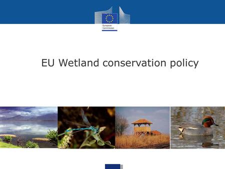 EU Wetland conservation policy. Communication on the Wise Use and Conservation of Wetlands (1995) => first European document dedicated exclusively.