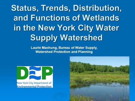 Status, Trends, Distribution, and Functions of Wetlands in the New York City Water Supply Watershed Laurie Machung, Bureau of Water Supply, Watershed Protection.