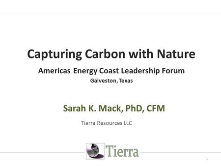 Capturing Carbon with Nature Americas Energy Coast Leadership Forum Galveston, Texas Sarah K. Mack, PhD, CFM Tierra Resources LLC 1.