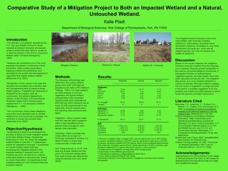 Comparative Study of a Mitigation Project to Both an Impacted Wetland and a Natural, Untouched Wetland. Kalle Pladl Department of Biological Sciences,