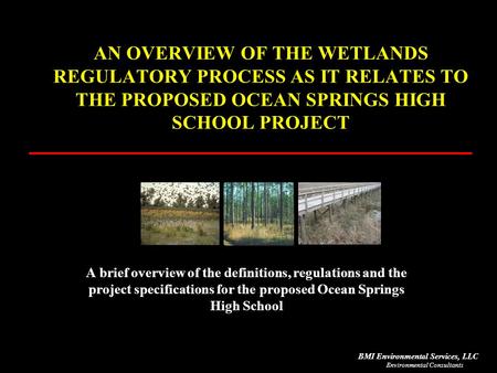 Environmental Consultants BMI Environmental Services, LLC AN OVERVIEW OF THE WETLANDS REGULATORY PROCESS AS IT RELATES TO THE PROPOSED OCEAN SPRINGS HIGH.