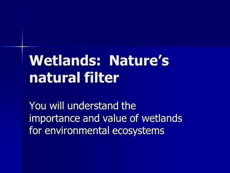 Wetlands: Nature’s natural filter You will understand the importance and value of wetlands for environmental ecosystems.