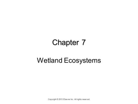 Chapter 7 Chapter 7 Wetland Ecosystems Copyright © 2013 Elsevier Inc. All rights reserved.