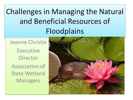 Challenges in Managing the Natural and Beneficial Resources of Floodplains Jeanne Christie Executive Director Association of State Wetland Managers Jeanne.