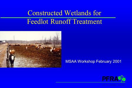 Constructed Wetlands for Feedlot Runoff Treatment MSAA Workshop February 2001.