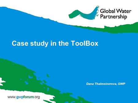Case study in the ToolBox Dana Thalmeinerova, GWP.