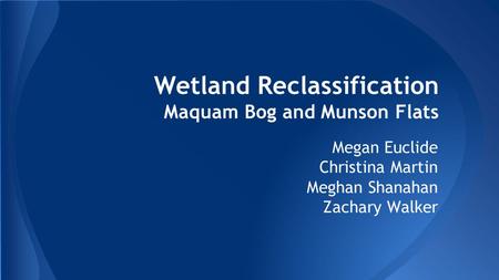 Wetland Reclassification Maquam Bog and Munson Flats Megan Euclide Christina Martin Meghan Shanahan Zachary Walker.