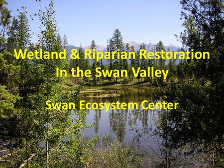 Wetland & Riparian Restoration In the Swan Valley Swan Ecosystem Center.