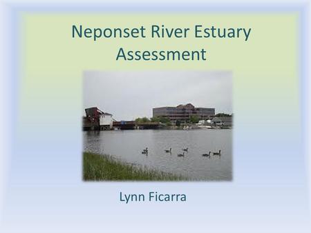 Neponset River Estuary Assessment Lynn Ficarra. General Characteristics From Walter Baker Dam to Dorchester Bay 1 7 km long 2 25-250 m wide at low tide,