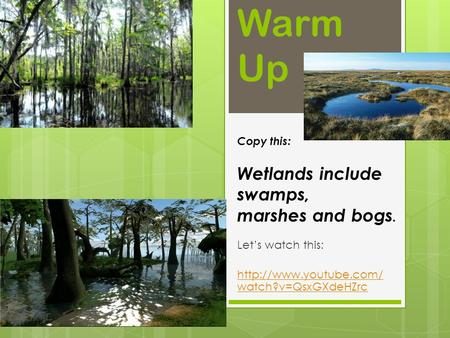Warm Up Let’s watch this:  watch?v=QsxGXdeHZrc Copy this: Wetlands include swamps, marshes and bogs.