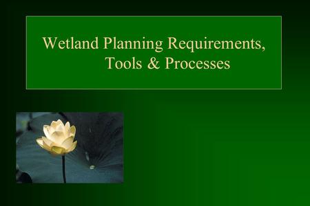 Wetland Planning Requirements, Tools & Processes.
