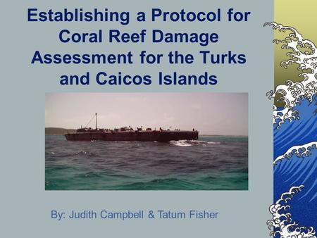 Establishing a Protocol for Coral Reef Damage Assessment for the Turks and Caicos Islands By: Judith Campbell & Tatum Fisher.