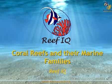 Www.reefcheckaustralia.org Coral Reefs and their Marine Families Reef IQ.