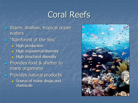 Coral Reefs Warm, shallow, tropical ocean waters Warm, shallow, tropical ocean waters “Rainforest of the Sea” “Rainforest of the Sea” High production High.