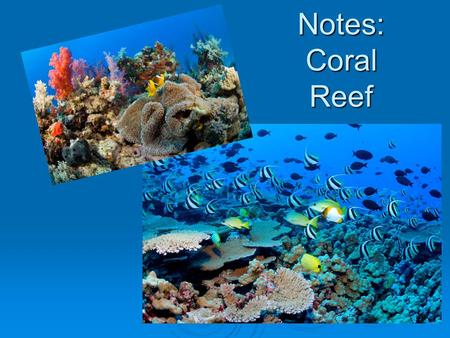 Notes: Coral Reef.  Characteristics  Coral reefs are massive biological communities and geologic structures.  Made of Calcium carbonate  Corals –